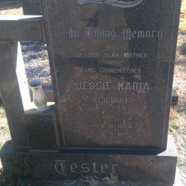TESTER Jessie Maria nee GILVARY 1884-1972