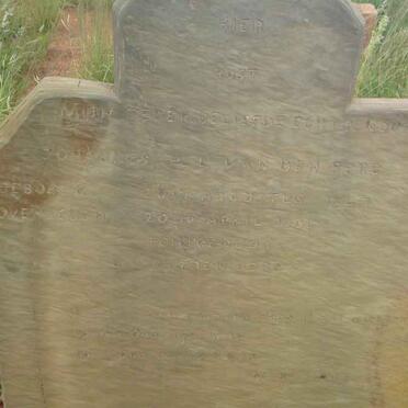 BERG Johannes P. L., van den 1847-1901