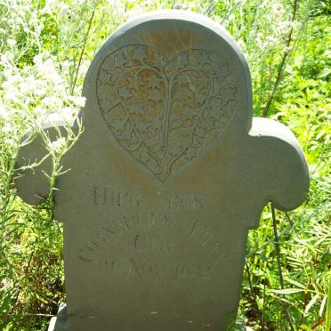 VREY Corneules 1932-