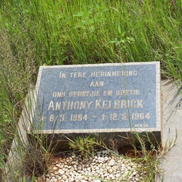 KELBRICK Anthony 1964-1964