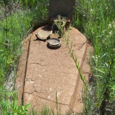 Gauteng, RANDFONTEIN district, Holfontein 49, farm cemetery