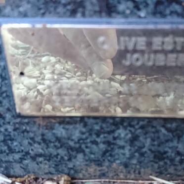 JOUBERT Raymond 1989-1991 :: JOUBERT Olive Estella