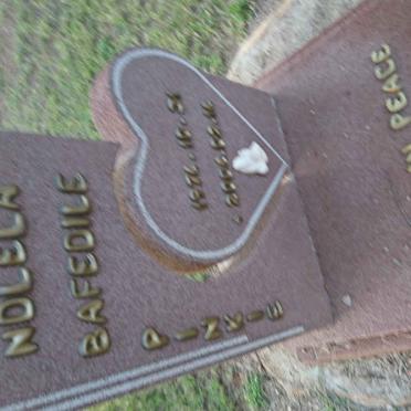 NOLELA Bafedile Pinkie 1974-2004