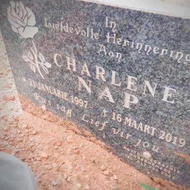 NAP Charlene 1997-2019