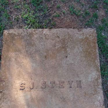 STEYN S.J.
