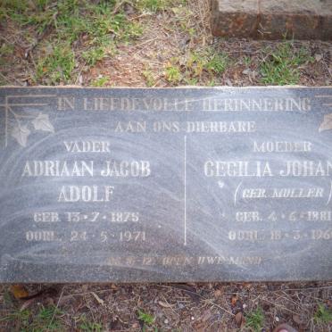 ? Adriaan Jacob Adolf 1875-1971 &amp; Cecilia Johanna MULLER 1881-1960