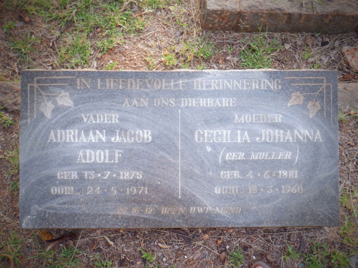 ? Adriaan Jacob Adolf 1875-1971 &amp; Cecilia Johanna MULLER 1881-1960