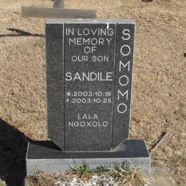 SOMOMO Sandile 2003-2003