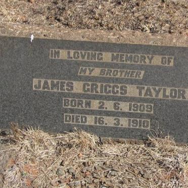 TAYLOR James Griggs 1909-1910