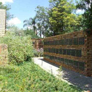 3. Overview