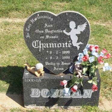 BOSMAN Chamoné 1999-1999