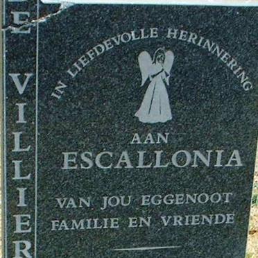 VILLIERS Escallonia, de 1936-1997