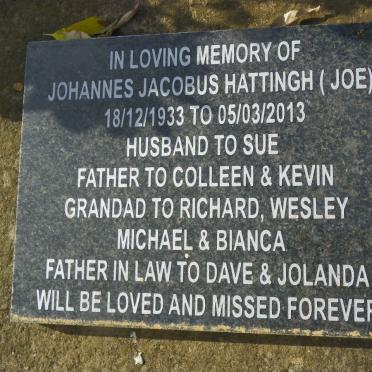 HATTINGH Johannes Jacobus 1933-2013