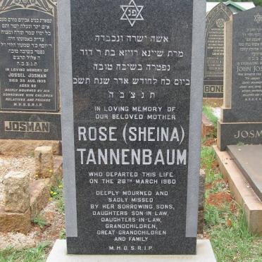 TANNENBAUM Rose -1960