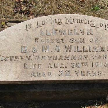 WILLIAMS Llewelyn -1914