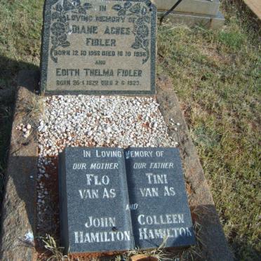 FIDLER :: VAN AS :: HAMILTON