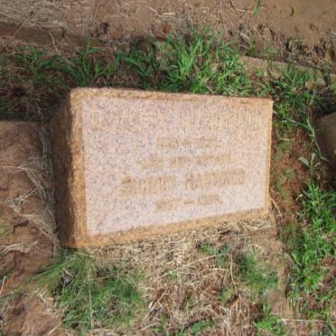 HASTINGS S? 1897-19?8 :: HOLM Gy? 1913-