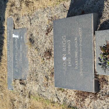 JOHNS J.S. 1891-1969 &amp; J.W. -1933 :: RIGG Joan nee JOHNS 1920-1977