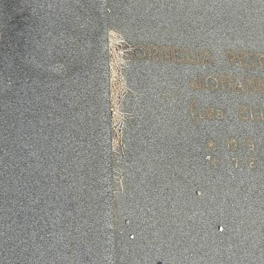 MERWE Jan Mattheus Christiaan, van 1912-1985 &amp; Cornelia Petronella Johanna ELLIS 1913-1982