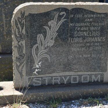 STRYDOM Cornelius Floris Johannes 1907-1957 :: BOTHA Pieter Marthinus 1912-1965