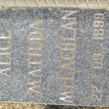 VIVIER Elizabeth Gertrude -1951 :: LE CORDEUR Dolly 1884-1966 :: McLACHLAN Alice Mathilda 1899-1995