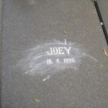 WALT Jan Louis, van der 1931-1981 &amp; Joey 1936-