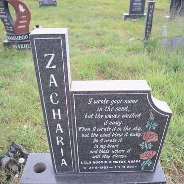 BAARDMAN Zacharia 1953-2004