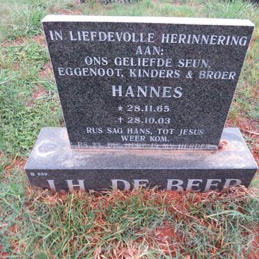 BEER J.H., de 1965-2003