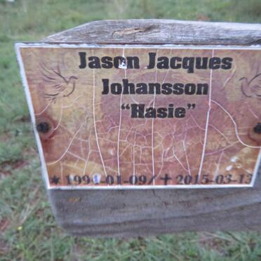 JOHANSSON Jason Jacques 1994-2015