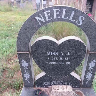 NEELLS A.J. 1977-2005