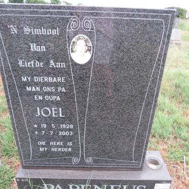 PAPENFUS Joel 1929-2003