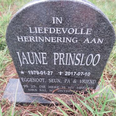 PRINSLOO Jaune 1979-2017