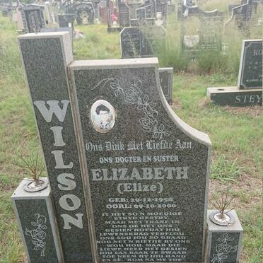 WILSON Elizabeth 1958-2000