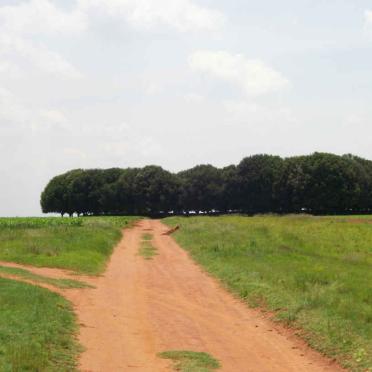 02. The road to Palmietkuil cemetery