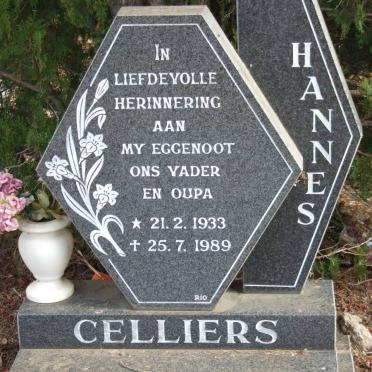 CELLIERS Hannes 1933-1989