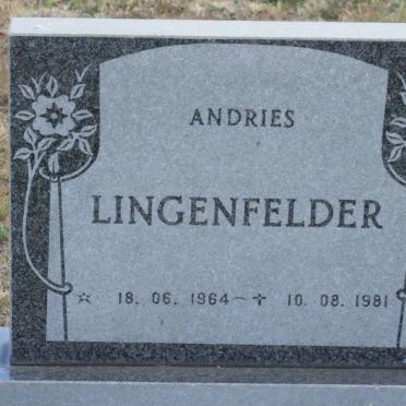 LINGENFELDER Andries 1964-1981