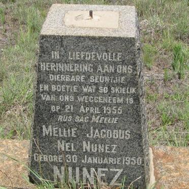NUNEZ Mellie Jacobus Nel 1950-1955