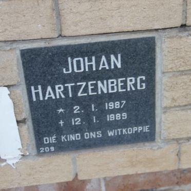 HARTZENBERG Johan 1987-1989