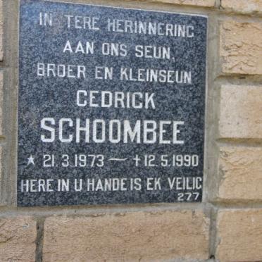 SCHOOMBEE Cedrick 1973-1990
