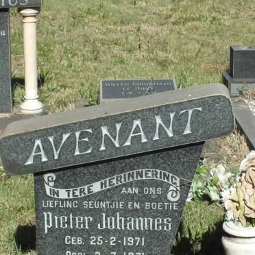 AVENANT Pieter Johannes 1971-1971