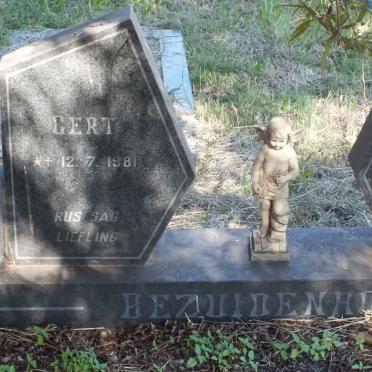 BEZUIDENHOUT Gert 1981-1981 :: BEZUIDENHOUT Tielman 1981-1981