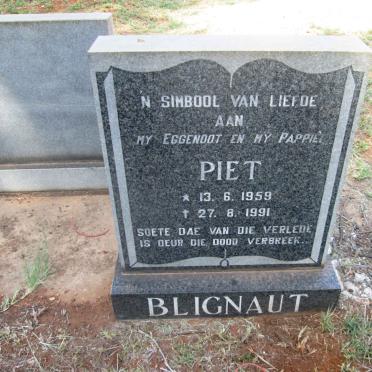 BLIGNAUT Piet 1959-1991