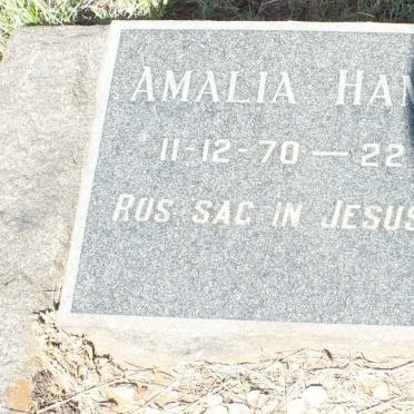 HAMMANN Amalia 1970-1971
