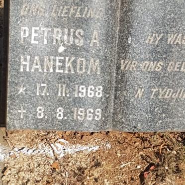 HANEKOM Petrus A. 1968-1969