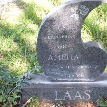 LAAS Amelia 1981-1981