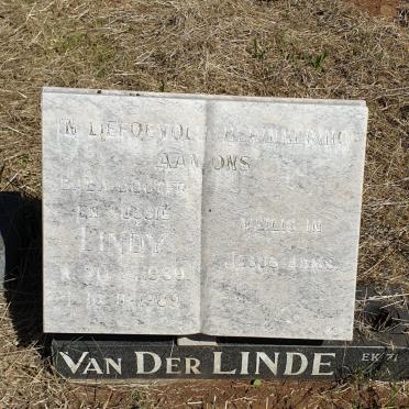 LINDE Lindy, van der 1989-1989