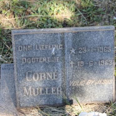 MULLER Corné 1963-1963