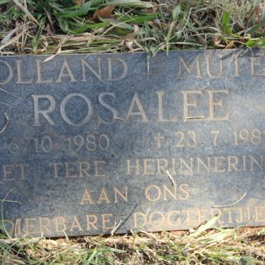 MUTER Rosalee, Holland 1980-1981