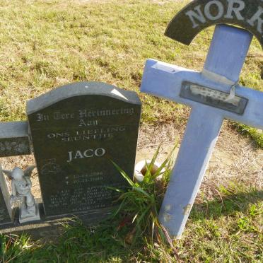 NORRIS Jaco 2000-2000