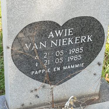 NIEKERK Awie, van 1985-1985